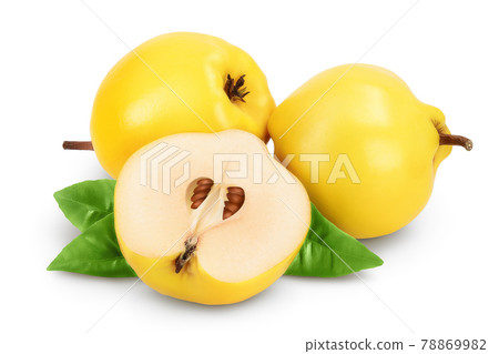 Fresh quince with half isolated on the white background with clipping path and full depth of field Fresh quince with half isolated on the white background with clipping path and full depth of field 78869982