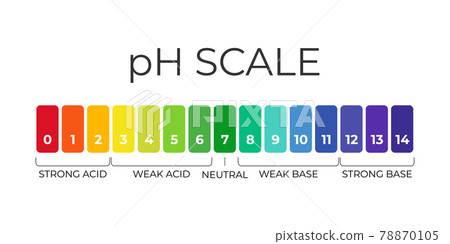 pH value scale chart for acid-alkaline solution. Acid-base balance infographic isolated on white background. Indicator for concentration of hydrogen ion in solution. Vector illustration 78870105