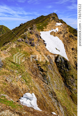 晴空和谷川衝樹的耳朵 78870322