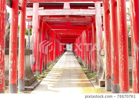 Aoyama Onari Shrine (Nishi-ku, Niigata City) 78870761