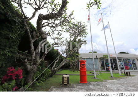 Okinawa Kunigami Village Scenery with a round mailbox (Okuma Resort Hotel) 78873189