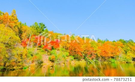 Yachiho Kogen Nature Park (Autumn): Lake Yuki Yachiho Kogen Nature Park (Autumn): Lake Yuki 78873251