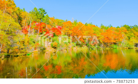 Yachiho Kogen Nature Park (Autumn): Lake Yuki Yachiho Kogen Nature Park (Autumn): Lake Yuki 78873253