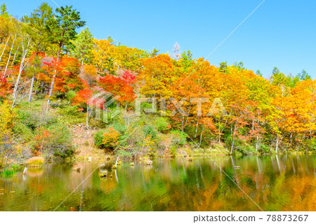 Yachiho Kogen Nature Park (Autumn): Lake Yuki Yachiho Kogen Nature Park (Autumn): Lake Yuki 78873267