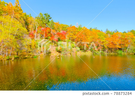 Yachiho Kogen Nature Park (Autumn): Lake Yuki Yachiho Kogen Nature Park (Autumn): Lake Yuki 78873284