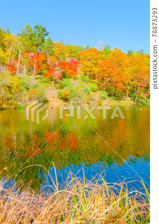 Yachiho Kogen Nature Park (Autumn): Lake Yuki Yachiho Kogen Nature Park (Autumn): Lake Yuki 78873293
