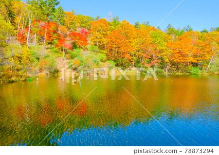 Yachiho Kogen Nature Park (Autumn): Lake Yuki Yachiho Kogen Nature Park (Autumn): Lake Yuki 78873294
