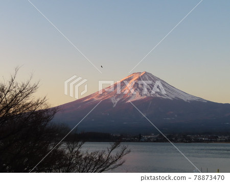 Mt. Fuji sunrise from the quiet shore of Lake Kawaguchi 78873470