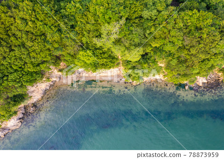 【自然景觀】碧海沙灘,森林環繞 無人機鳥瞰 【自然景觀】碧海沙灘,森林環繞 無人機鳥瞰 78873959