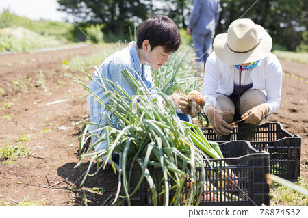 在田間勞作的父母和孩子 在田間勞作的父母和孩子 78874532