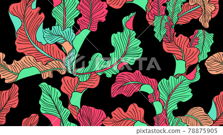 Tropical plants seamless pattern, Asplenium Nidus on black background 78875905