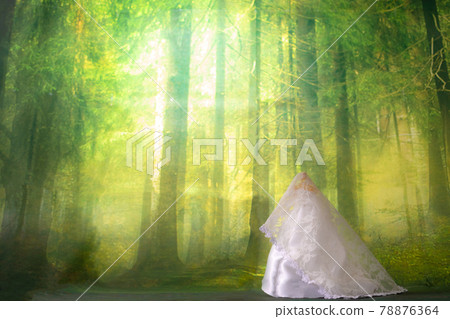 Wedding image 78876364