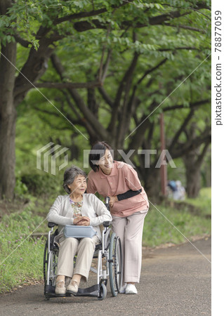 Senior woman and caregiver in a wheelchair taking a walk in the park Senior woman and caregiver in a wheelchair taking a walk in the park 78877059