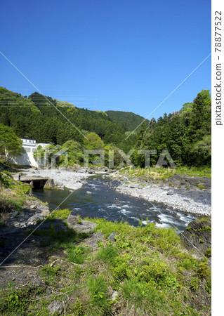 翠綠的御岳峽:多摩川上的相馬之子橋附近上游的河岸和水力發電廠 翠綠的御岳峽:多摩川上的相馬之子橋附近上游的河岸和水力發電廠 78877522