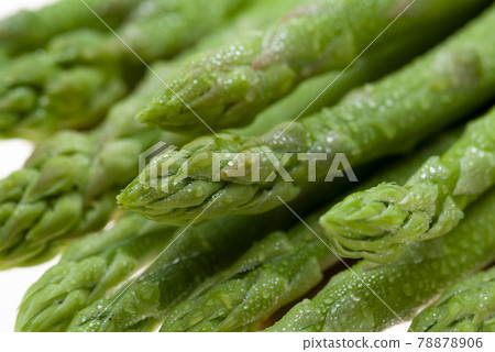 蘆筍 78878906