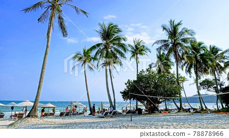 Beach, blue water, ocean 78878966