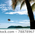 Beach, palm tree, paraglider 78878967