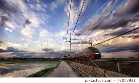 Superb view chick Superb view chick 78878981