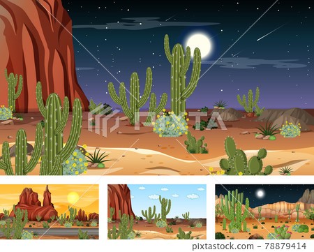 Different desert forest landscape scenes with various desert plants 78879414