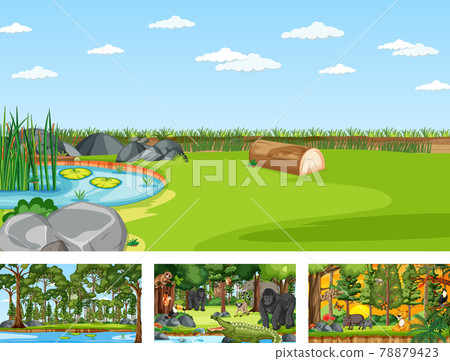 Set of different nature horizontal scene with various wild animals 78879423