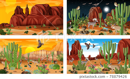 Different desert forest scenes with animals and plants 78879426