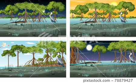 Different mangrove forest landscape scenes with animals 78879427