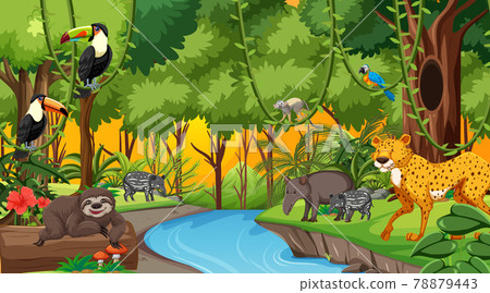 Forest at sunset time scene with different wild... - Stock Illustration ...