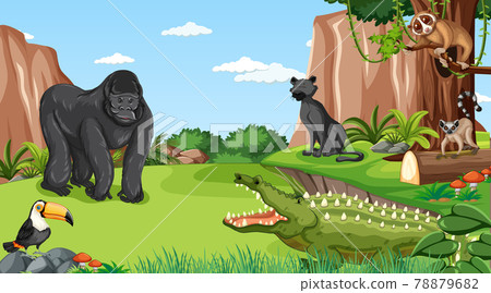 Gorilla with other wild animals in the forest or rainforest scene Gorilla with other wild animals in the forest or rainforest scene 78879682