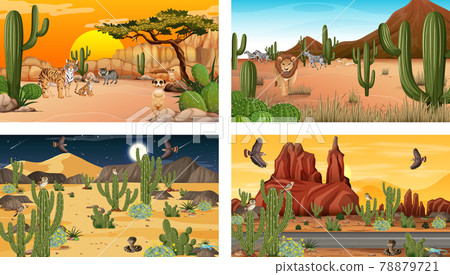 Different scenes with desert forest landscape with animals and plants Different scenes with desert forest landscape with animals and plants 78879721