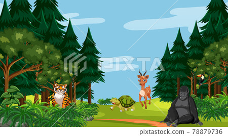 Forest scene with different wild animals Forest scene with different wild animals 78879736