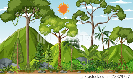 Forest landscape scene at day time with many different trees 78879767