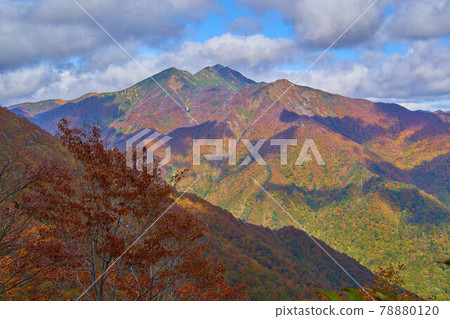 View the north side (Shiragemon, Asahidake, Kasagatake, etc.) from the middle point between the evacuation hut of Mt. Tanigawa in autumn and Tenjin Pass 78880120