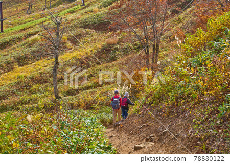 秋季天神平站附近小徑上的登山者和升降機 78880122