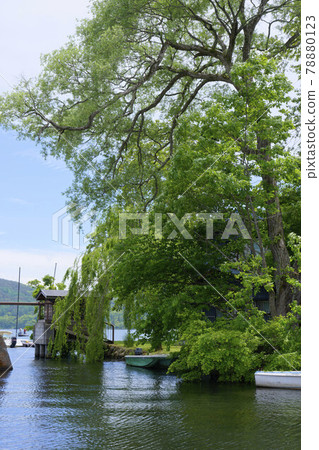 初夏的野尻湖湖畔 初夏的野尻湖湖畔 78880123
