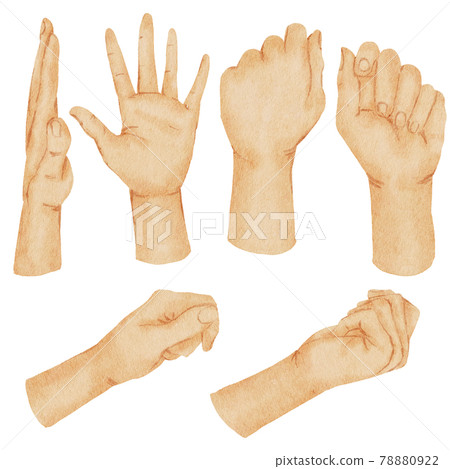 Hands watercolor hand paint collection-插圖素材 [78880922] - PIXTA圖庫