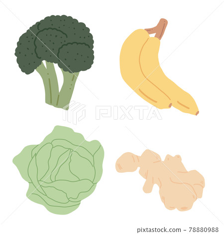 Vegetable hand paint collection 78880988
