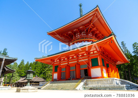 【和歌山縣】高野山真言宗本部金剛部寺團上伽藍塔 78881036