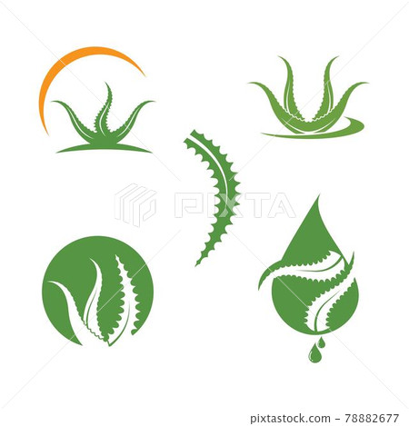 aloevera logo icon vector illustration design 78882677