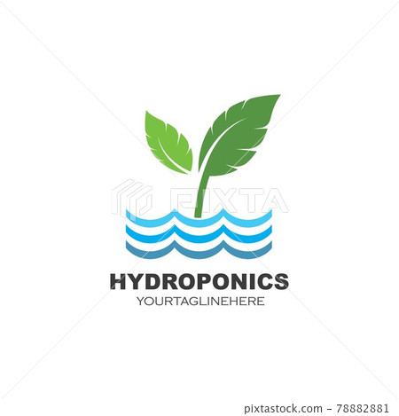 hydroponics logo vector illustration design 78882881