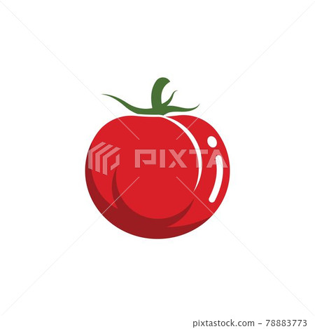 fresh tomato vector illustration design fresh tomato vector illustration design 78883773