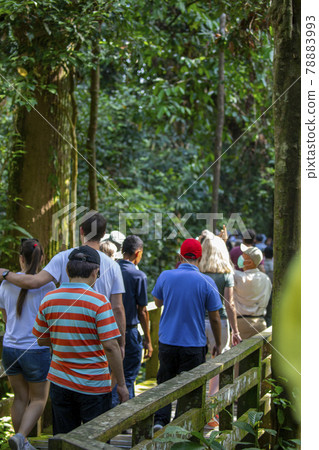 Malaysia, Sandakan, Zoo Area, Tourists, Malusia, Sandakan, Zoological Gardens, Fanguangke, Sandakan, 78883993