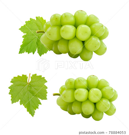 Set of cutout beautiful bunch of fresh green Shine Muscat grape and leaf isolated on white background Set of cutout beautiful bunch of fresh green Shine Muscat grape and leaf isolated on white background 78884053