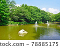 Hydrangea blooms, Kamagaya City, Chiba Prefecture, Kaigarayama Park, fountain pond 78885175