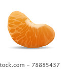 Realistic vector mandarin slice. Close-up illustration of tangerine isolated on white background 78885437