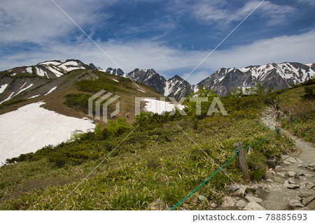 Happoone Nature Research Road, a mountain trail and a magnificent view of Mt. Karamatsu and Fukunomine, Hakuba Village, Nagano Prefecture 78885693