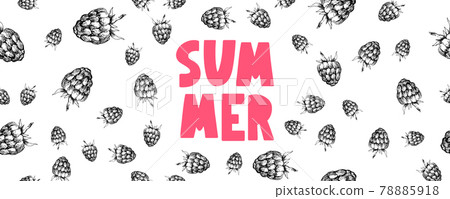 summer sale banner with fruits raspberry berries letter vector summer sale banner with fruits raspberry berries letter vector 78885918