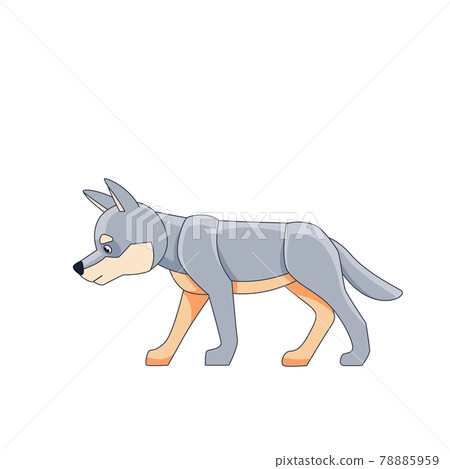 White cub wolf for a walk. Cartoon character of a dangerous mammal animal. A wild forest creature with gray fur. Side view. Vector flat illustration isolated on a white background White cub wolf for a walk. Cartoon character of a dangerous mammal animal. A wild forest creature with gray fur. Side view. Vector flat illustration isolated on a white background 78885959