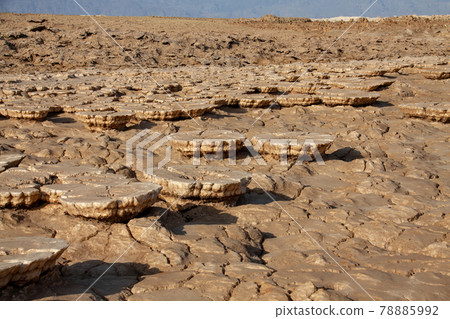 達洛爾沙漠中達洛爾的景色，兩旁種滿了奇怪的岩鹽蘑菇 78885992