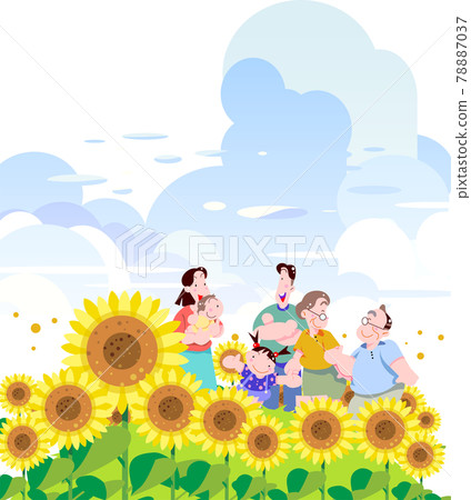 Sunflower and Natsuzora family 78887037