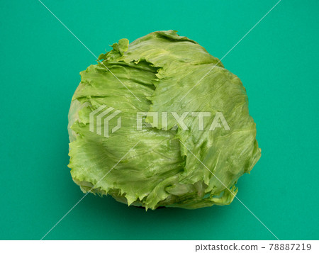 lettuce lettuce 78887219
